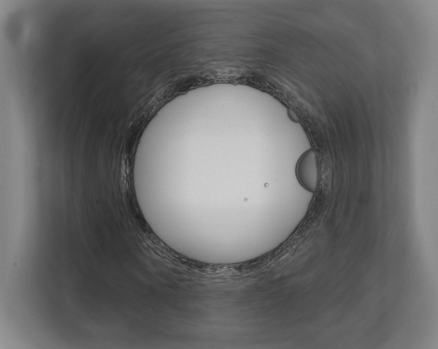 X0000112080866200908041009