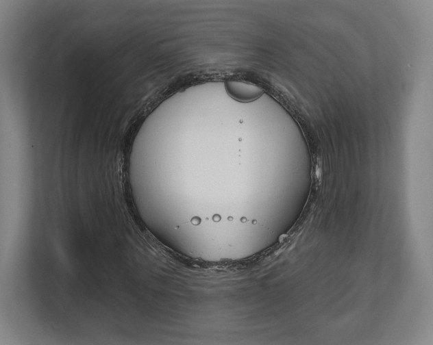 X0000112080867200908041008