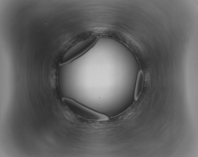X0000112080868200908041008