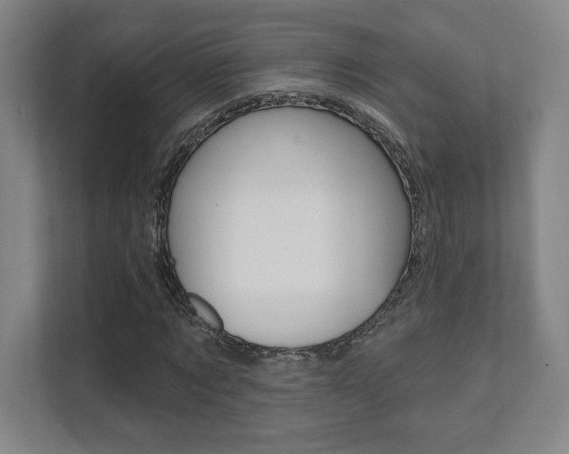 X0000112080869200908041008