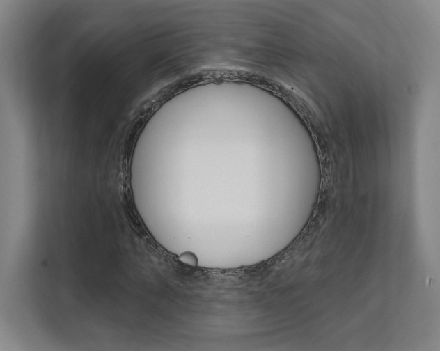 X0000112080870200908041008