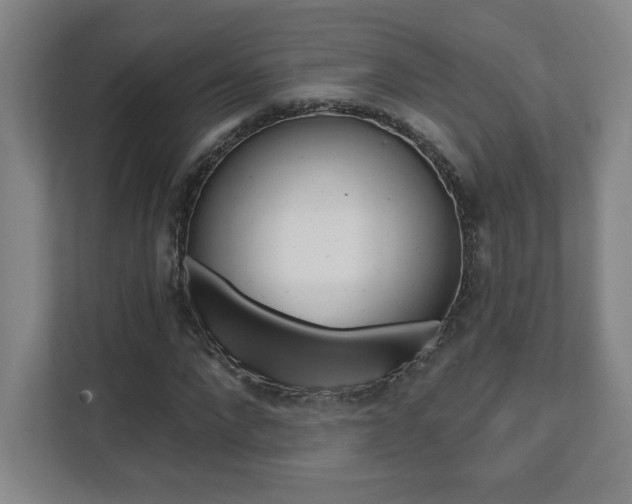 X0000112080872200908041008