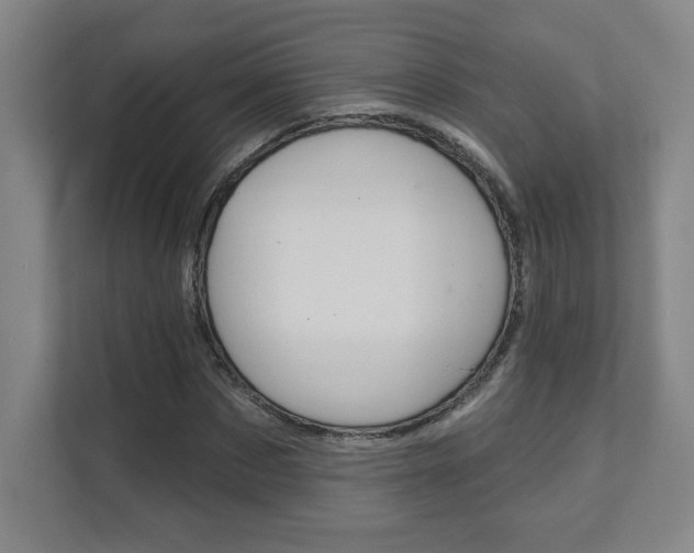 X0000112080873200908041008