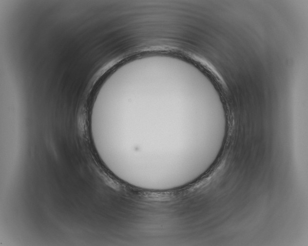 X0000112080874200908041008