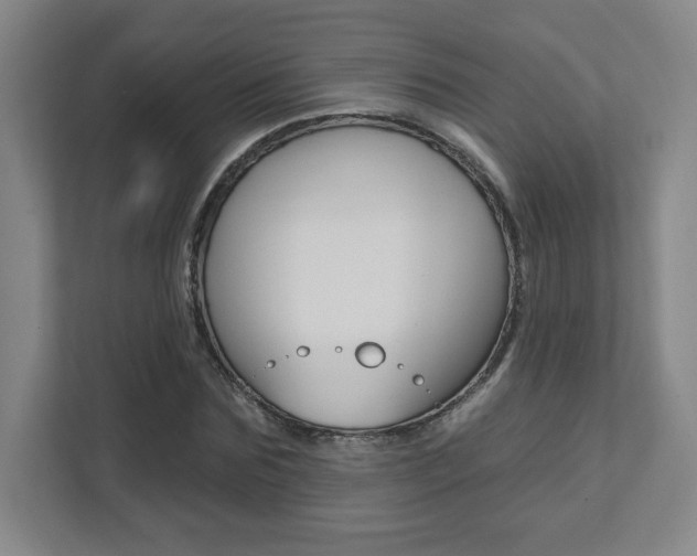 X0000112080875200908041008
