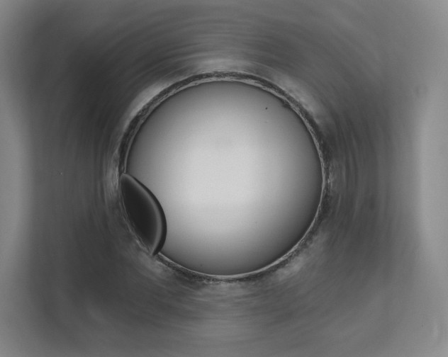 X0000112080877200908041008