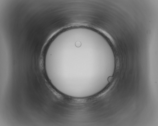 X0000112080878200908041008