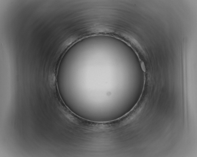 X0000112080881200908041008