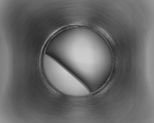 X0000112080884200908041008