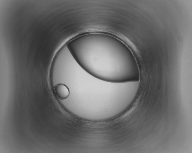X0000112080885200908041008