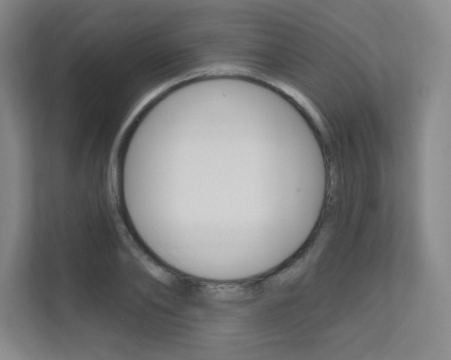 X0000112080886200908041008
