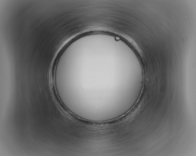 X0000112080887200908041008