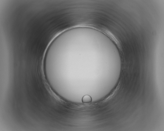 X0000112080892200908041008