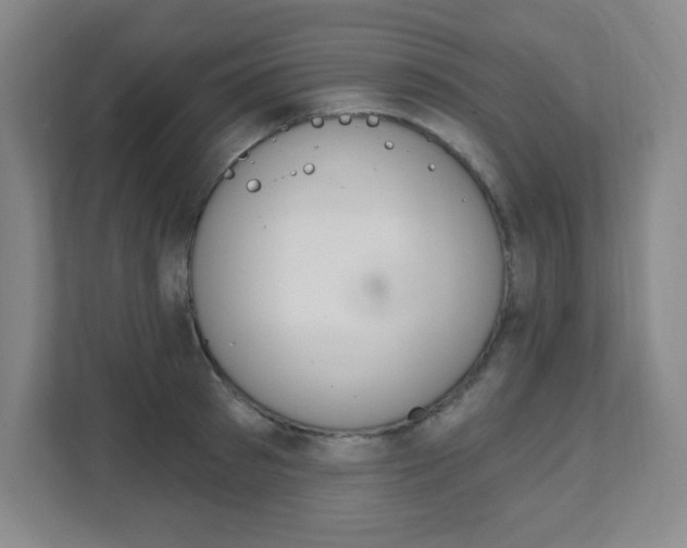 X0000112080897200908041008