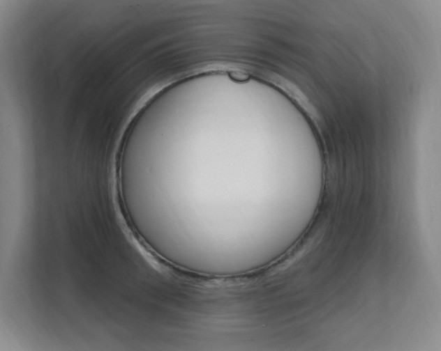 X0000112080898200908041008
