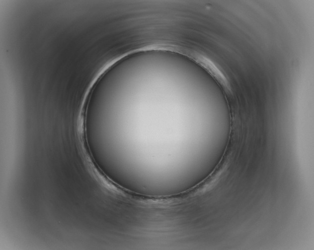 X0000112080900200908041008