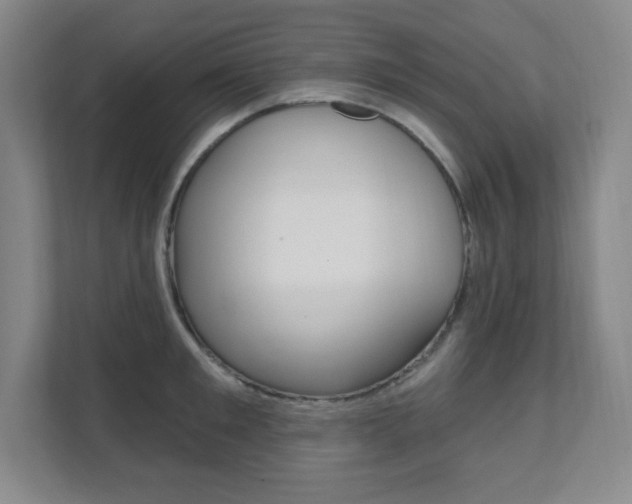 X0000112080901200908041008