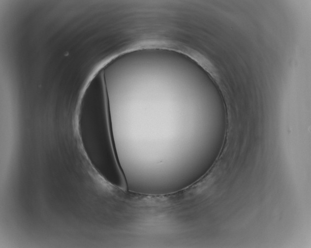 X0000112080912200908041008