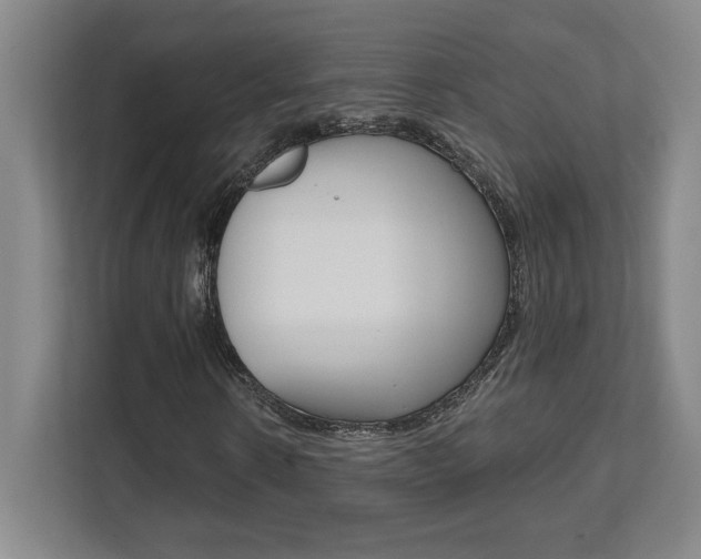 X0000112080914200908041007