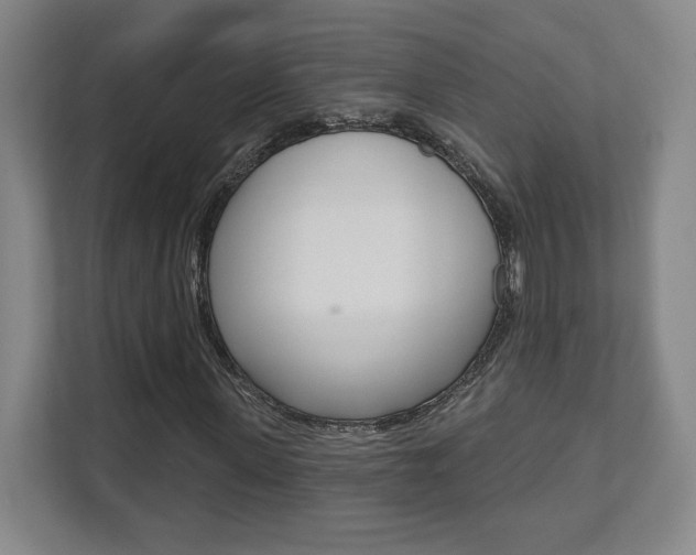 X0000112080915200908041007