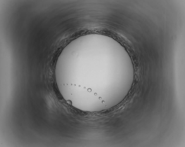 X0000112080917200908041007