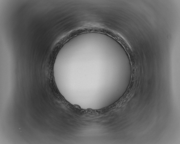 X0000112080919200908041007