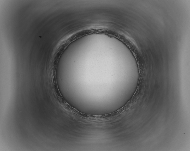 X0000112080920200908041007