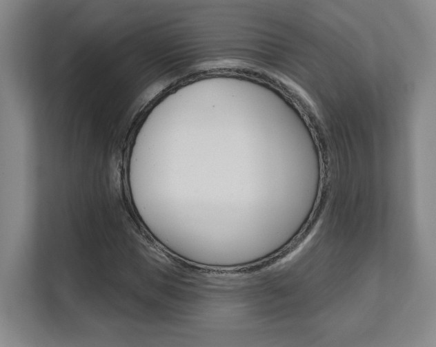 X0000112080921200908041007
