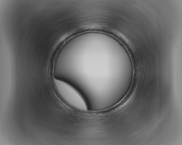 X0000112080922200908041007