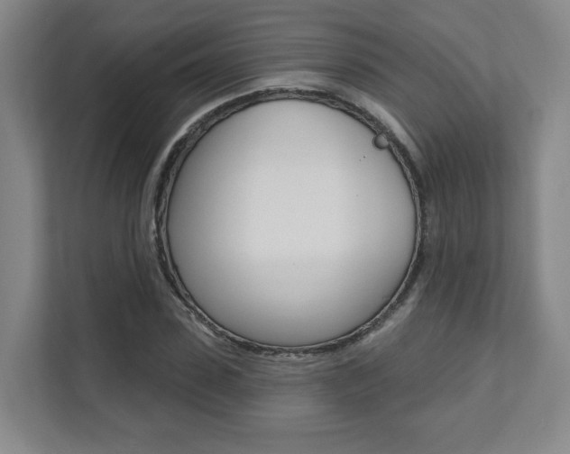 X0000112080923200908041007