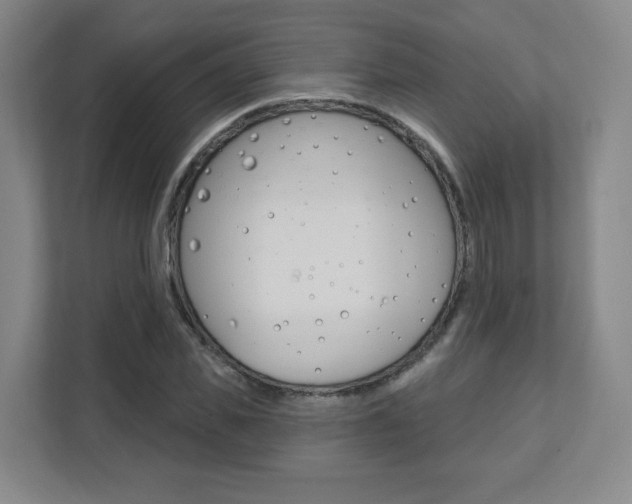 X0000112080925200908041007