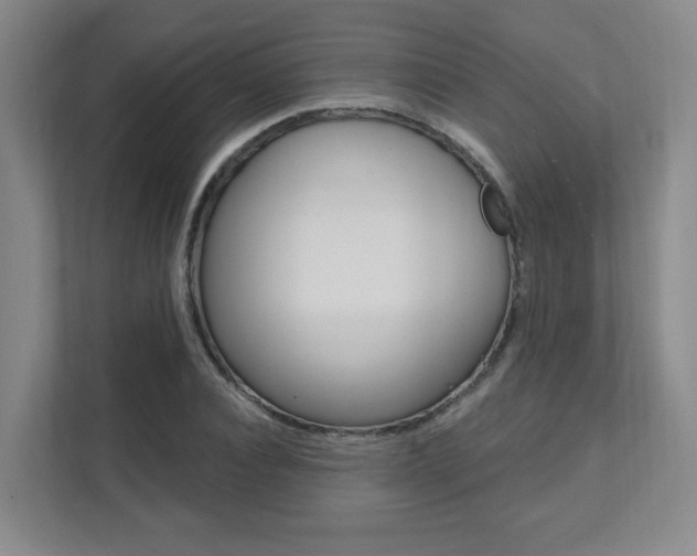 X0000112080928200908041007