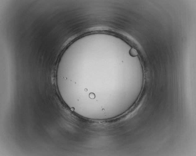 X0000112080929200908041007