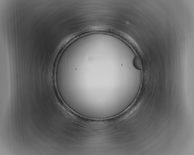 X0000112080930200908041007