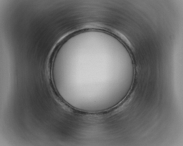 X0000112080931200908041008