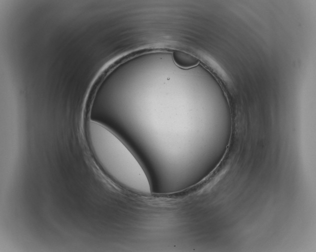 X0000112080932200908041008