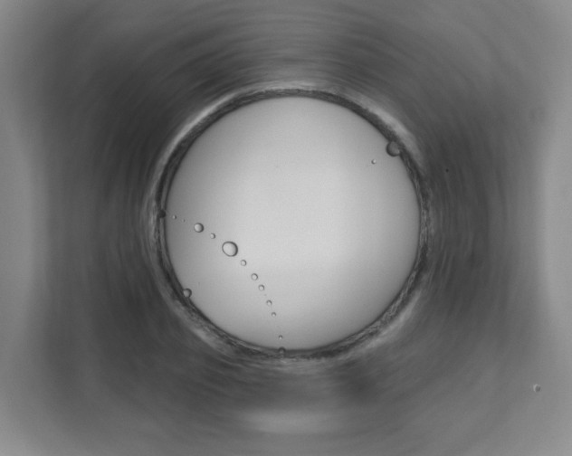 X0000112080933200908041008