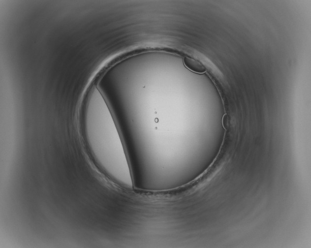 X0000112080934200908041008