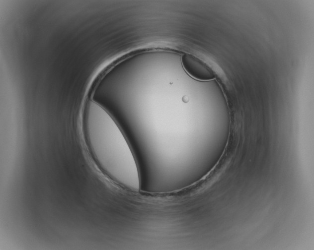 X0000112080936200908041008