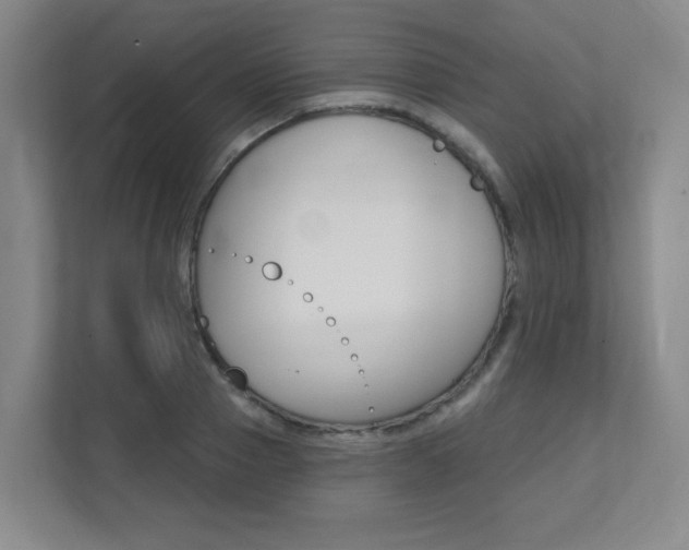 X0000112080937200908041008
