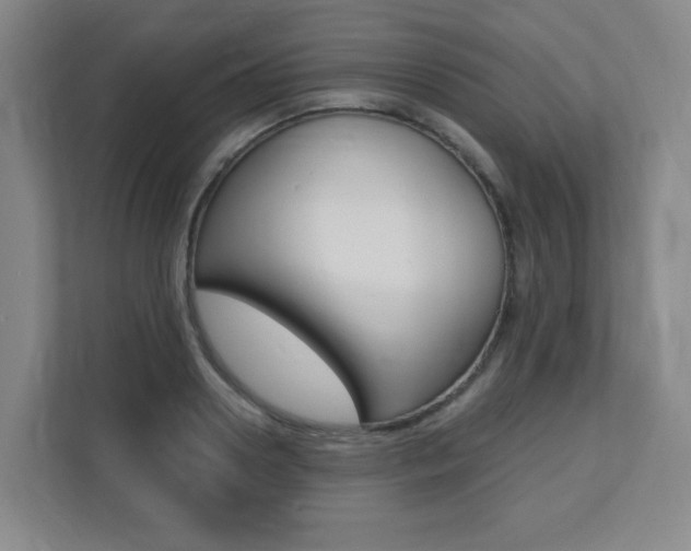 X0000112080938200908041008