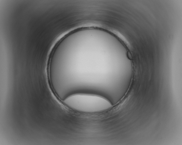 X0000112080943200908041008