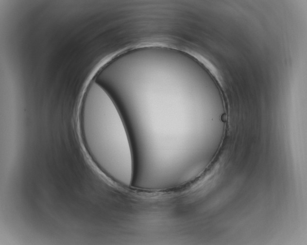 X0000112080949200908041008