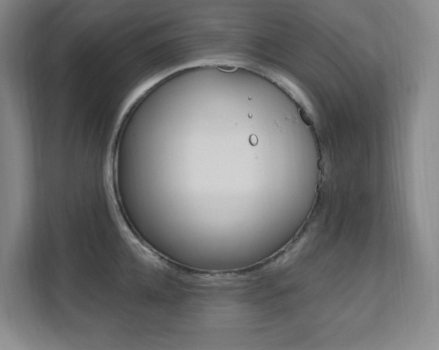 X0000112080952200908041008
