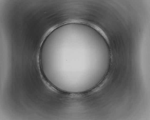 X0000112080954200908041008