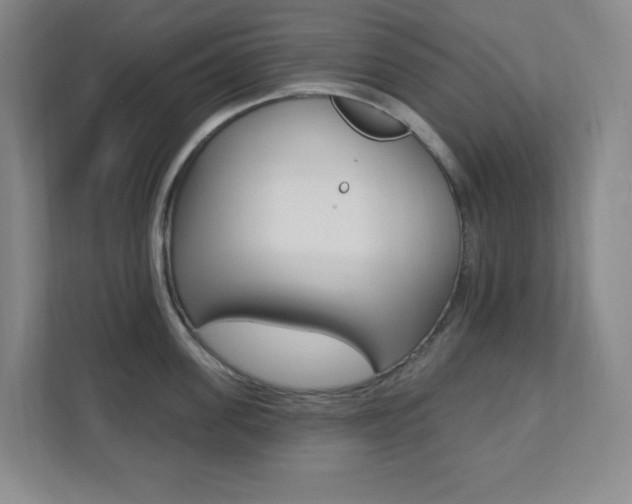 X0000112080955200908041008