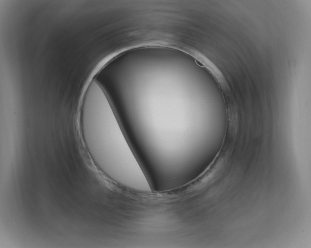 X0000112080956200908041008