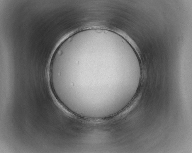 X0000112080957200908041008