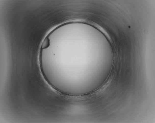 X0000112080959200908041008