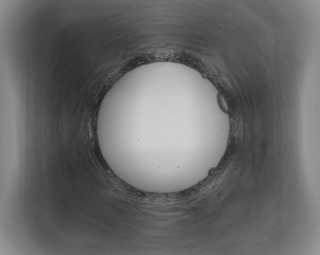 X0000112080962200908041007